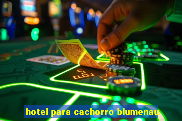 hotel para cachorro blumenau